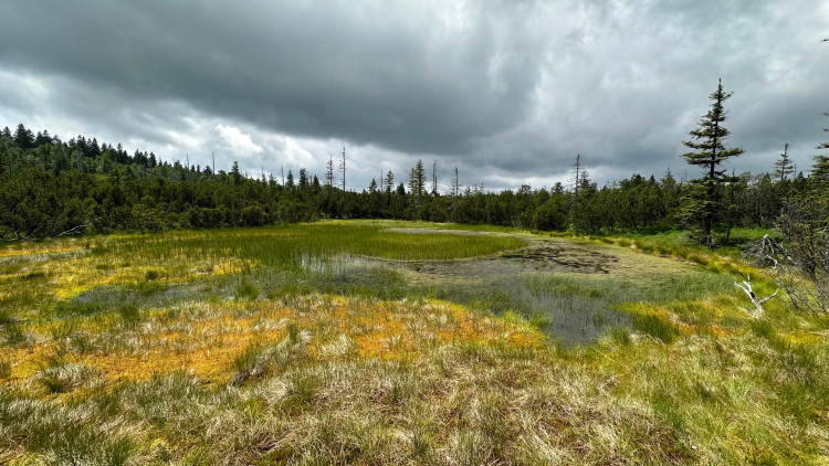 FOTOGALERIE: Bavorské pastviny