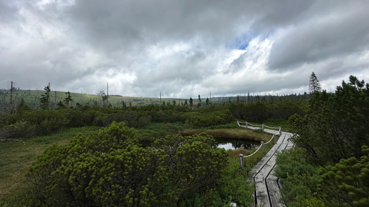 FOTOGALERIE: Bavorské pastviny