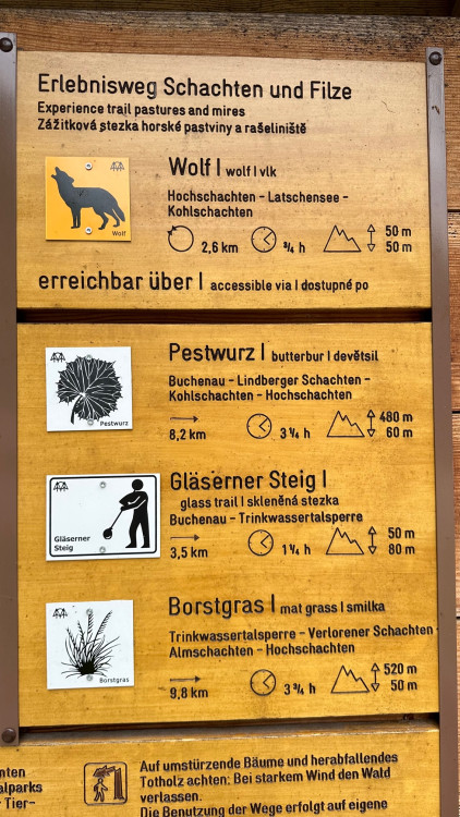 FOTOGALERIE: Bavorské pastviny