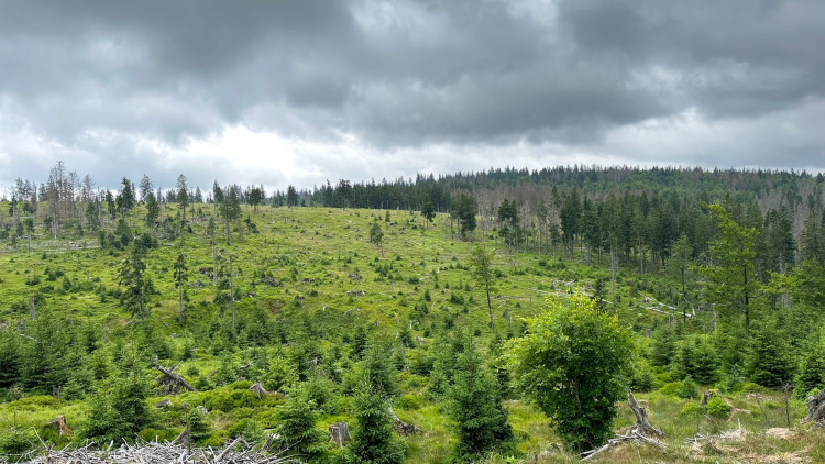 FOTOGALERIE: Bavorské pastviny