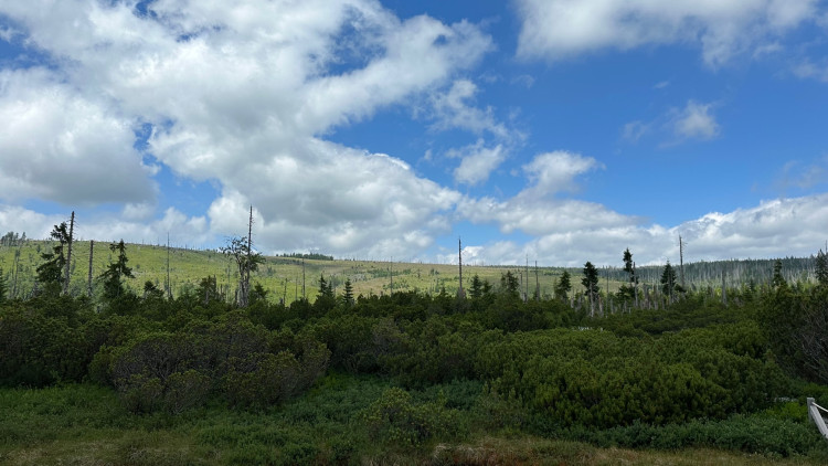 Za horizontem je Česko a Poledník