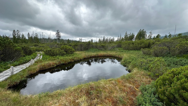 FOTOGALERIE: Bavorské pastviny