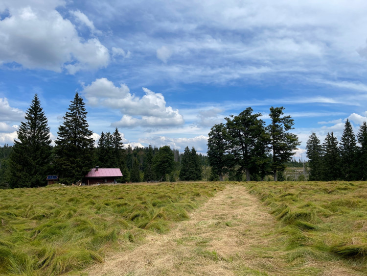  Verlorener Schachten