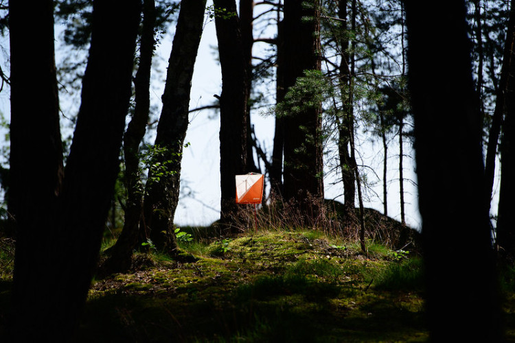 Mistrovství světa v trail orienteeringu 2023 v Libereckém kraji