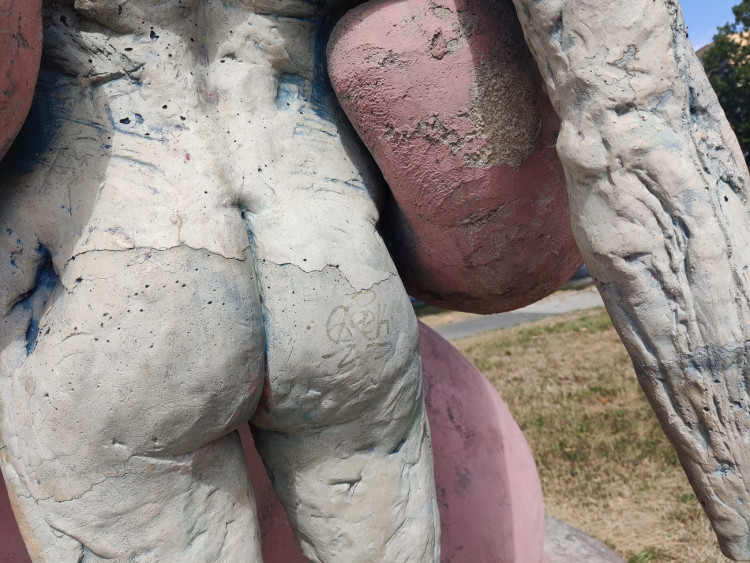 Stav králíka k červenci 2023, foto: Zuzana Duzbabová