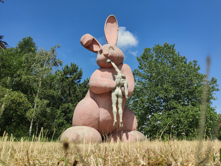 Stav králíka k červenci 2023, foto: Zuzana Duzbabová