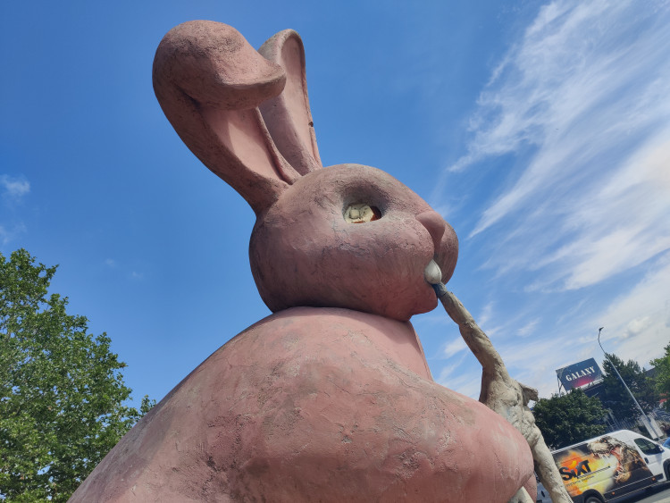 Stav králíka k červenci 2023, foto: Zuzana Duzbabová