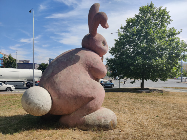 Stav králíka k červenci 2023, foto: Zuzana Duzbabová