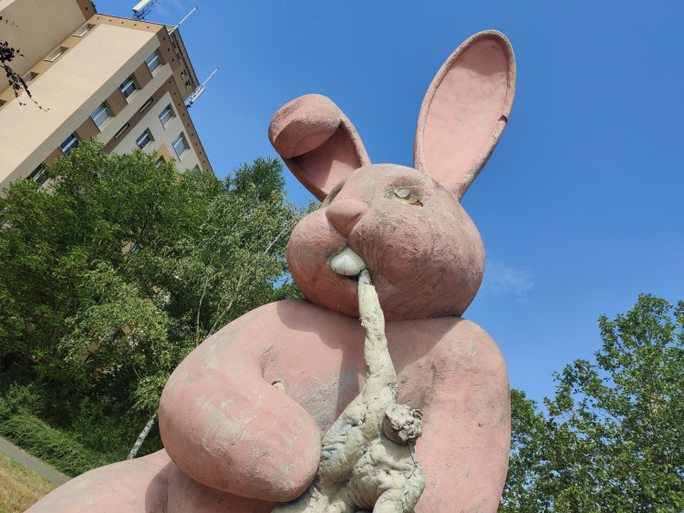 Stav králíka k červenci 2023, foto: Zuzana Duzbabová: Růžový králík na Lochotíně v průběhu let