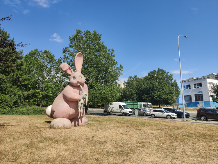 Stav králíka k červenci 2023, foto: Zuzana Duzbabová