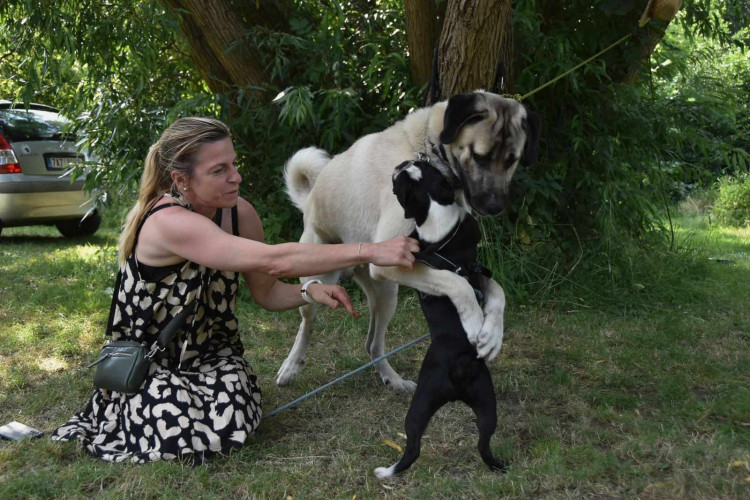 Výcvikový tábor ve Sloupu v Čechách