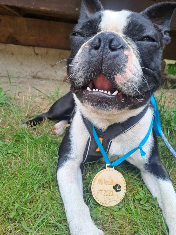 Výcvikový tábor ve Sloupu v Čechách