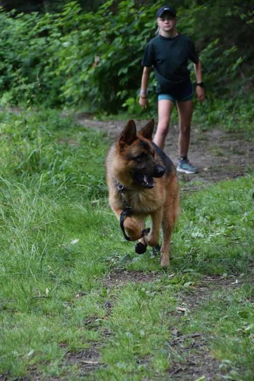Výcvikový tábor ve Sloupu v Čechách