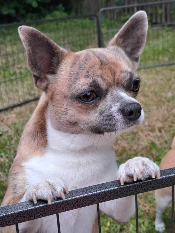 Výcvikový tábor ve Sloupu v Čechách