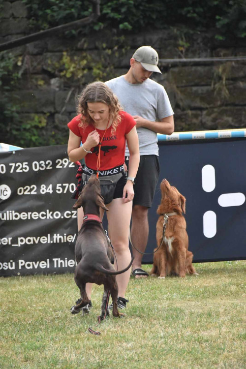 Výcvikový tábor ve Sloupu v Čechách