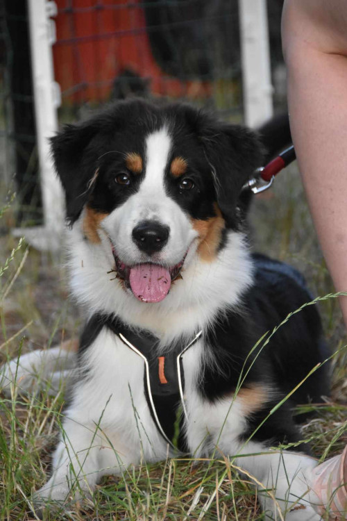 Výcvikový tábor ve Sloupu v Čechách