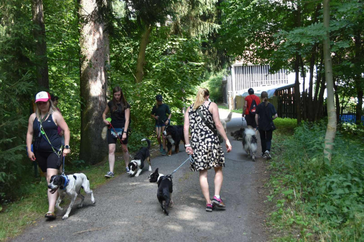 Výcvikový tábor ve Sloupu v Čechách