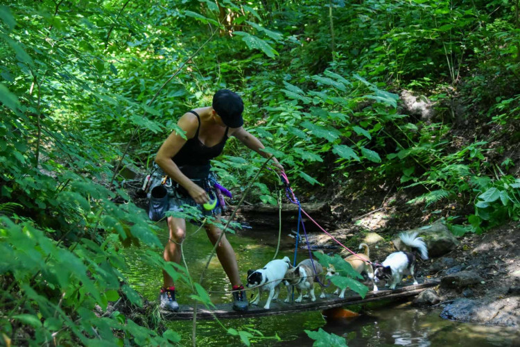 Výcvikový tábor ve Sloupu v Čechách