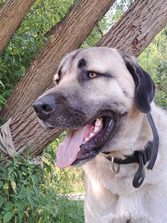 Výcvikový tábor ve Sloupu v Čechách