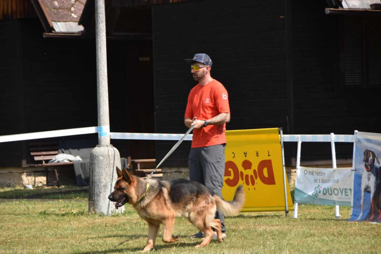 Výcvikový tábor ve Sloupu v Čechách