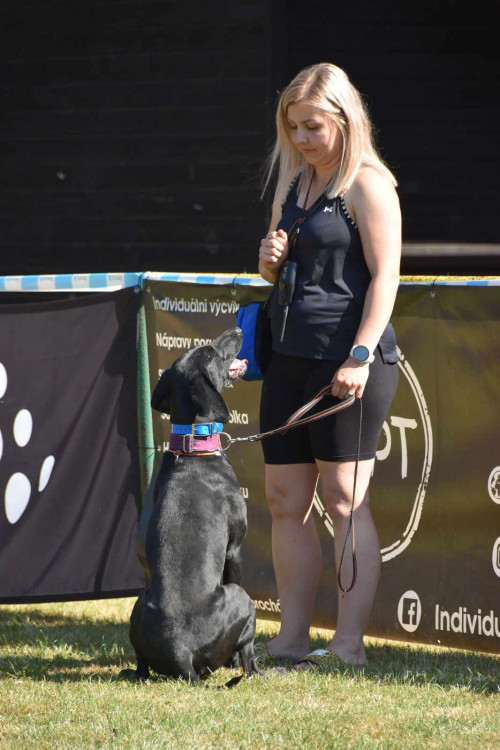 Výcvikový tábor ve Sloupu v Čechách