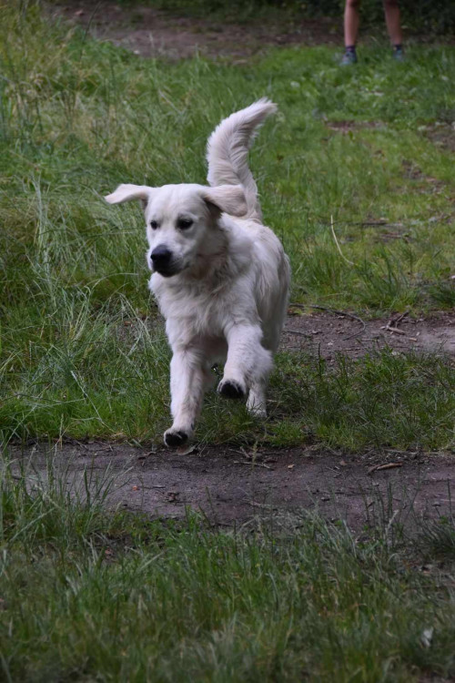 Výcvikový tábor ve Sloupu v Čechách