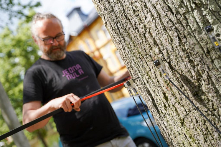 Měření stavu stromů na Masarykově třídě v Liberci