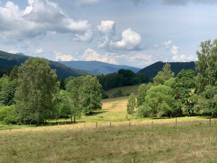 Údolí pod Brčálníkem s pastvinami