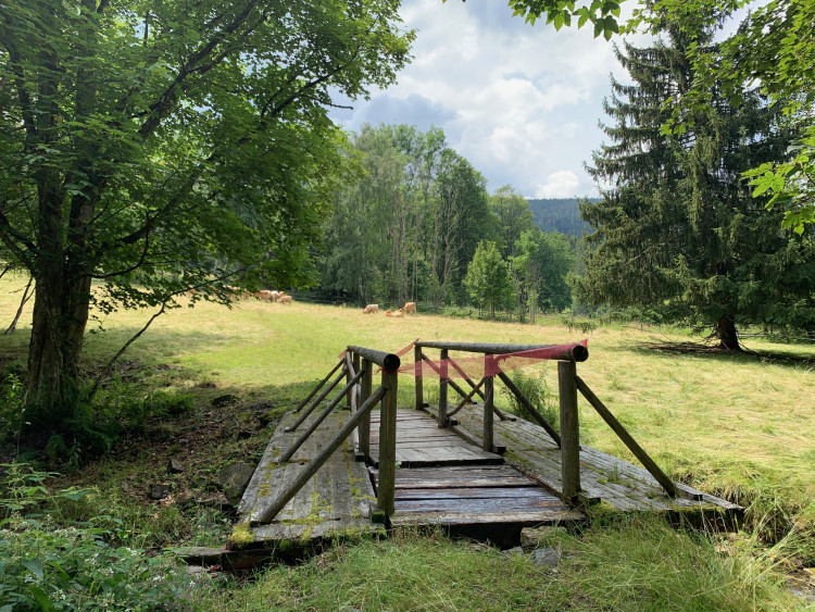 Pastviny na Brčálníku