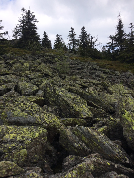 Kamenné pole pod vrcholkem Svarohu