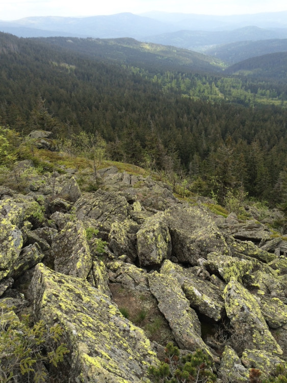 Kamenné pole pod vrcholkem Svarohu 