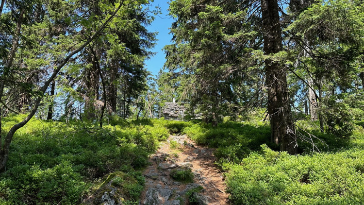 Vrcholek se blíží