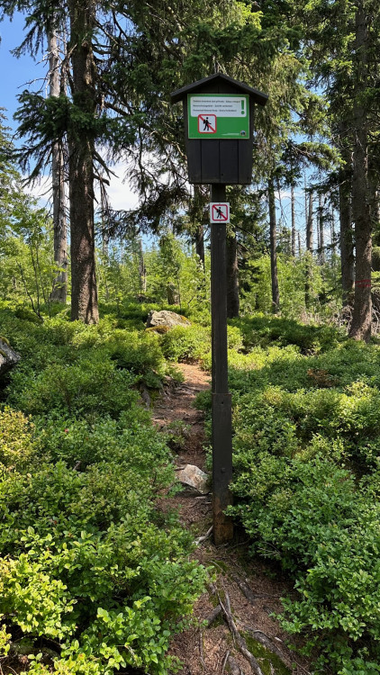 Na tuto stezku zapomeňte