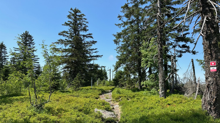 Hraniční skála a hraniční stezka