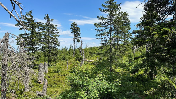 Do těchto míst nevstupujte