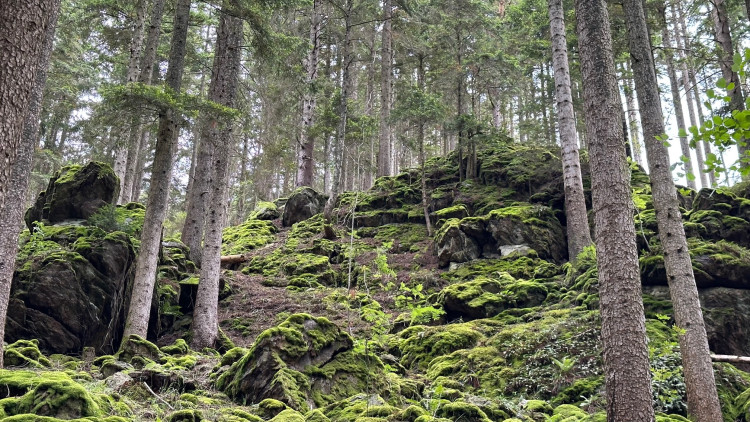 Cesta ne Sedlo vede mezi tajemnými skalami