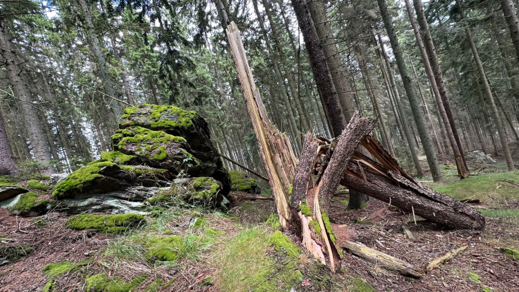 Cesta ne Sedlo vede mezi tajemnými skalami