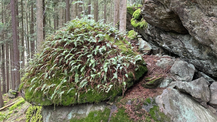 Cesta ne Sedlo vede mezi tajemnými skalami