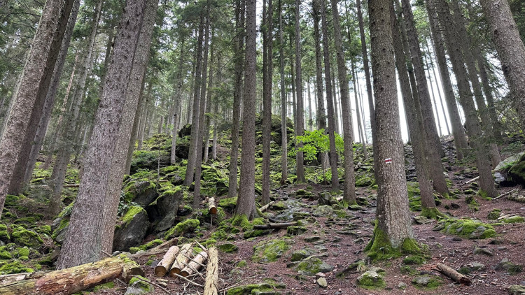 Cesta ne Sedlo vede mezi tajemnými skalami