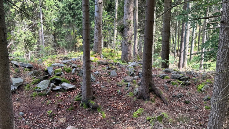 Zbytky hradiště na Sedle