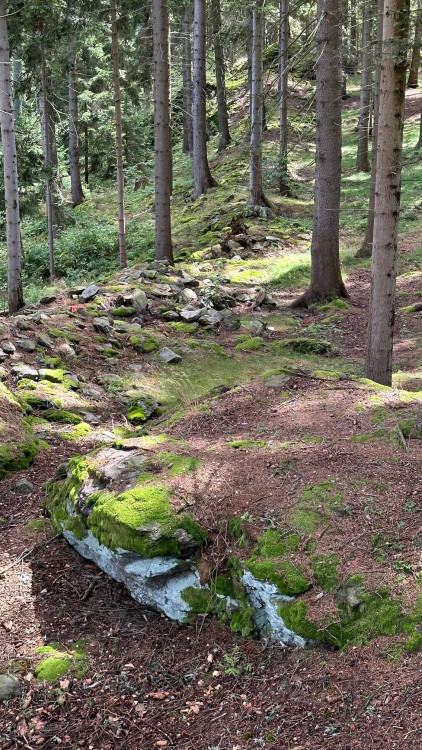 Zbytky hradiště na Sedle