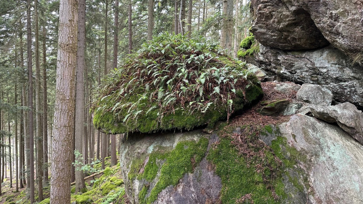 Cesta ne Sedlo vede mezi tajemnými skalami