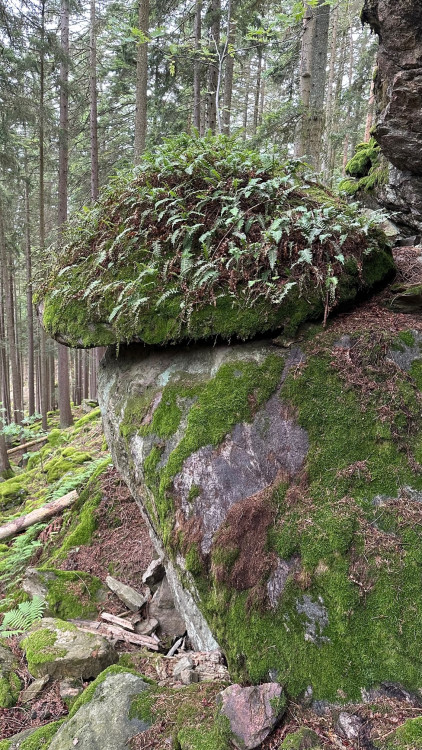 Cesta ne Sedlo vede mezi tajemnými skalami