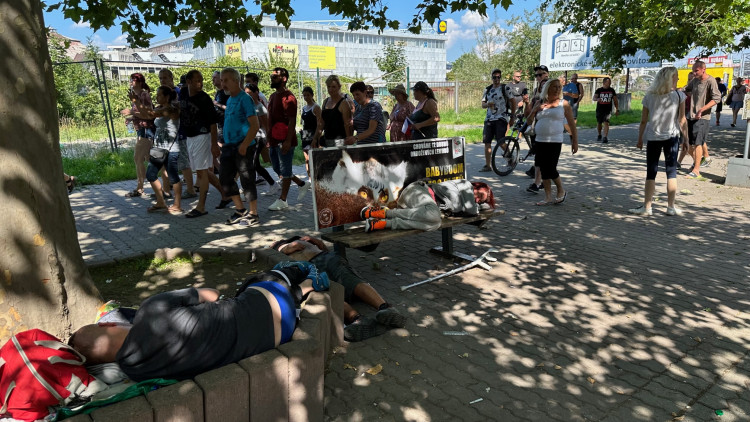 FOTOGALERIE: Protestní pochod proti Ukrajincům prošel Plzní