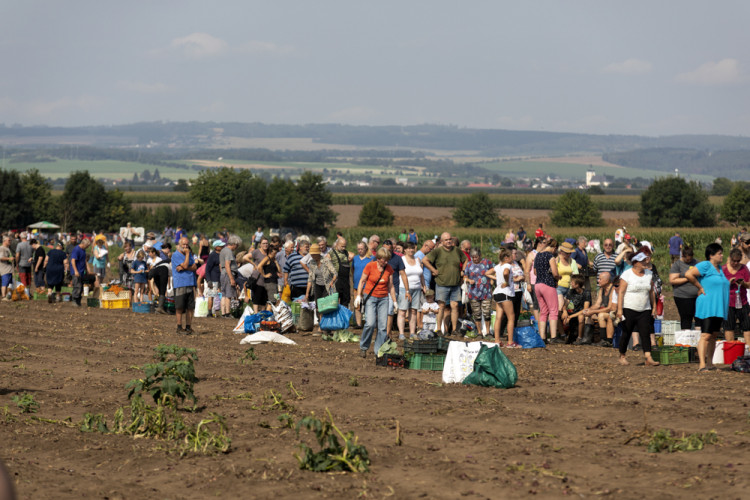 FOTOGALERIE: Samosběr ve Vojnicích lákal davy. Dopravu musela řídit policie