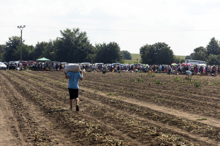 FOTOGALERIE: Samosběr ve Vojnicích lákal davy. Dopravu musela řídit policie
