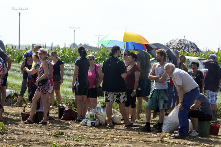 FOTOGALERIE: Samosběr ve Vojnicích lákal davy. Dopravu musela řídit policie