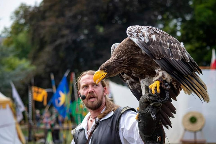 Rock fest i historie: Jihočeské muzeum zve na Trocnovské slavnost