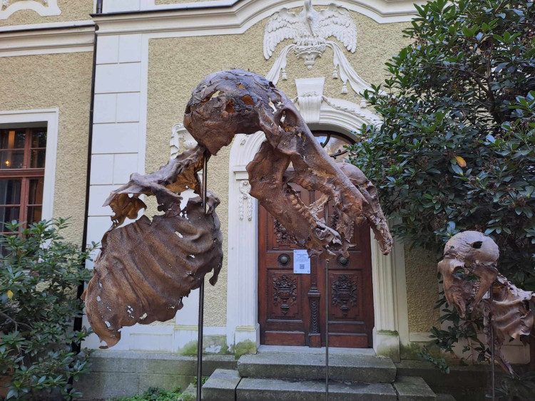 Muzeum slavilo 150 let společně s Tatrhy