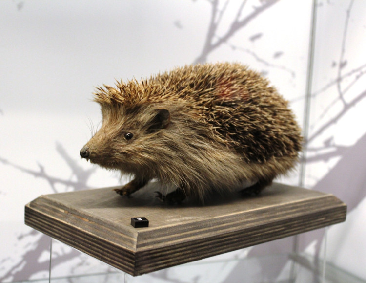 Otevření Muzea Vysočiny po rekonstrukci